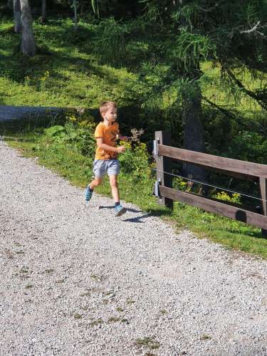 03330386-ce17-48bb-89ed-38f5e4df0e98 (1)