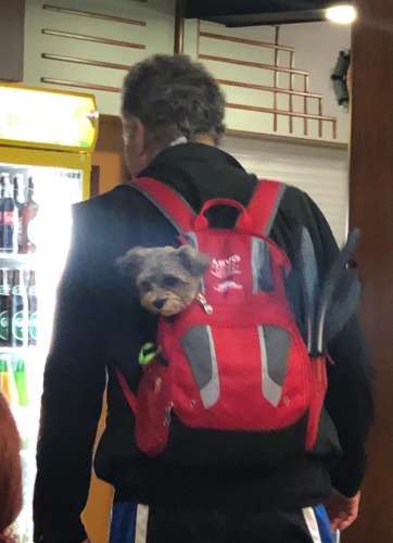 16bd5873-0371-49b5-ba28-4226b43f401c (1)