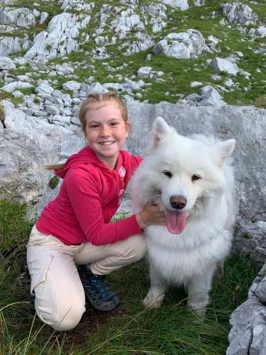 178864b7-60da-458b-8a50-f4f306275f29