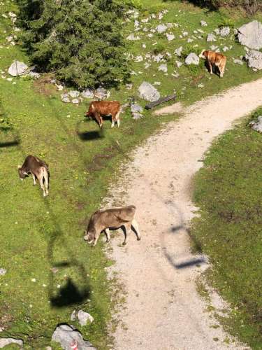 227a8cf1-8f32-431c-9bc1-db5d0c67dca3 (1)