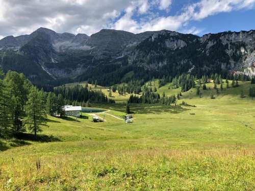 24e2e603-9cfc-4d01-8d5a-1c46ec9e6475 (1)