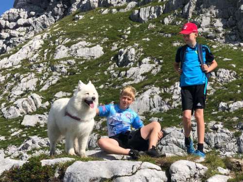 29c4a4e9-1940-475d-8943-b4eefc557c1c (1)