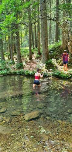 33ccdfc9-5988-466a-bd21-51c7a6efdf70