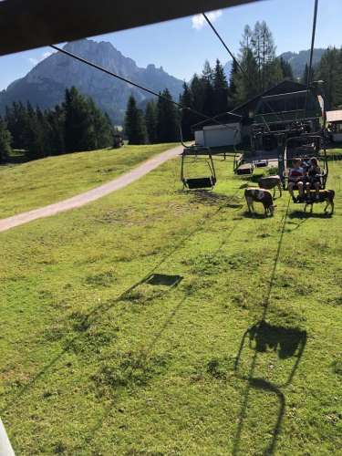 3c64e0de-0090-4ea2-ae8a-55c173440724 (1)