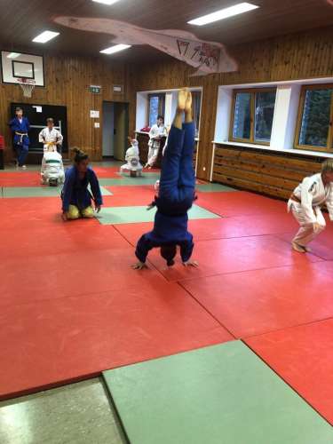 613f2394-b676-4c00-b69f-3b1fc506d297 (1)