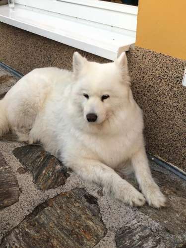 8504ea1e-098f-4250-9f3a-1c6d575ae526 (1)