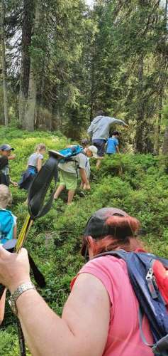 8e156cf7-4340-46ac-81b0-77cdd861b69a