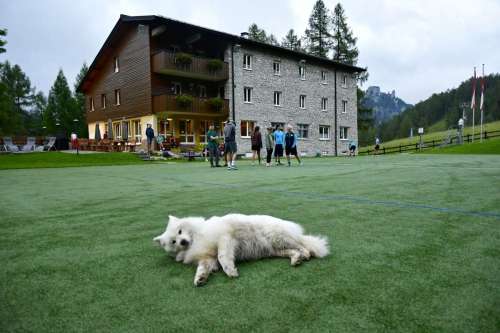 Wurceralm-1beh-189