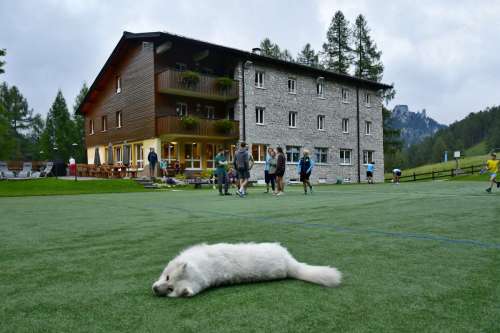 Wurceralm-1beh-190