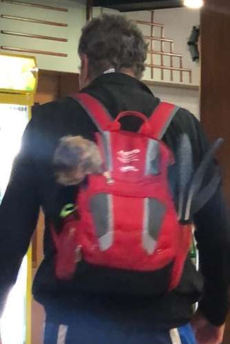 a780f4cd-6b62-4c0c-9db2-7a614ab4a0b6 (1)