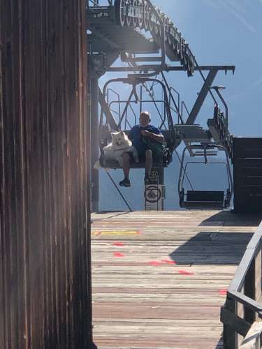 c1279826-702b-49f3-a545-c8ac0a496a68 (1)